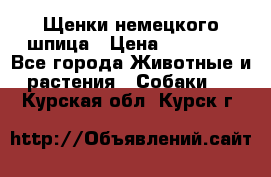 Щенки немецкого шпица › Цена ­ 20 000 - Все города Животные и растения » Собаки   . Курская обл.,Курск г.